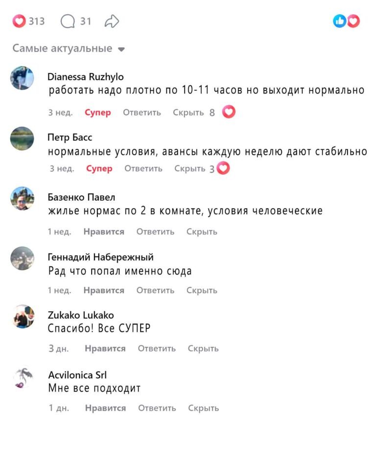 work_ОТЗОВЫ__03